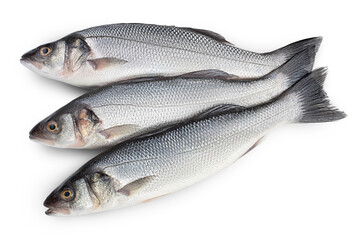 Fototapeta premium Sea bass fich isolated on white background with clipping path. Top view. Flat lay