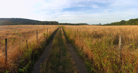 Panoramic view of a dirt road in a dried out summer landscape with fields, fences and a wooden tree stand in Eifel region, Germany