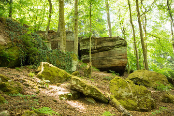 Magical hiking trail through the rhineland palatinate forest  with granite boulders lying on the forest floor. Tourism and hike concept. Trippstadt, Rhineland-Palatinate, Germany