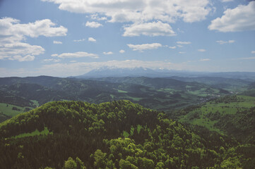 Fototapeta premium Pieniny