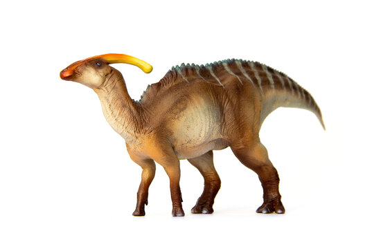 Fototapeta Parasaurolophus Living dinosaur In Late Cretaceous. Dinosaur herbivores have crest on their heads. isolated on white background.