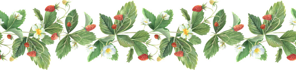 Watercolor border of wild strawberry leaves, berries and flowers