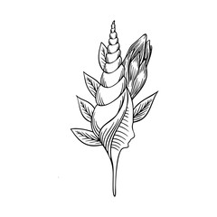 Seashell with lilies thin line icon, animal and underwater, shell sign vector graphics, a linear pattern on a white background, eps 10.