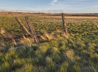 Evening view of an old fence in Grasslands National Park, Saskatchewan, Canada
