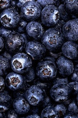 Ripe large blueberries with water drops, food background, close-up