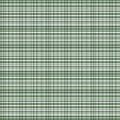 Draagtas Groen naadloos geruit patroon. Textuur van vierkanten voor tafelkleden, kleding, overhemden, jurken, papier, beddengoed, dekens en andere textielproducten. © TaninoPic