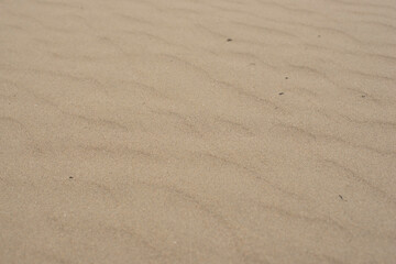 Fototapeta na wymiar footprint in the sand
