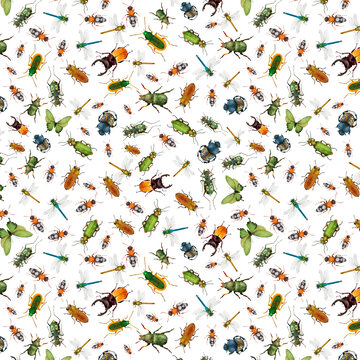 Entomological seamless pattern with colorful beetles. Summer and spring background. Wildlife set, insects texture. Can be used for a poster, printing on fabric.