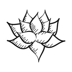 flower lotus decoration