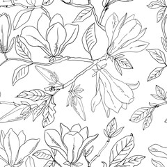Flower pattern Magnolia. Vector sketch of flowers by line on a white background. Decor