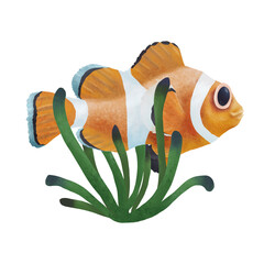Orange fish, Ocellaris clownfish (Amphiprion ocellaris), known as the false percula clownfish, in the green sea anemone (Heteractis magnifica). - obrazy, fototapety, plakaty