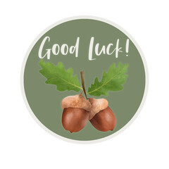 Hand drawn illustration of composition with acorns and green leaves, lucky charm, good luck on green backgroung circle © TaninoPic