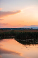 Fototapeta na wymiar Summer sunset on the lake. 