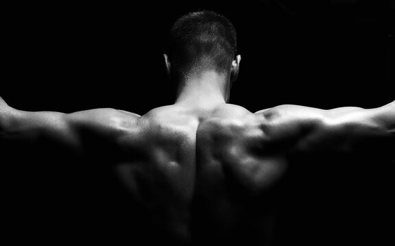 Body-Builder Images – Browse 4,876 Stock Photos, Vectors, and Video