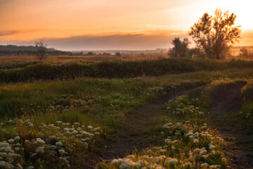 Sunset in country. Rural landscapes.