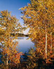 finland, autumn atmosphere at a lake, 