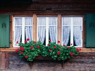 Fototapeta na wymiar wooden house, window, flower decoration, switzerland, bernese oberland
