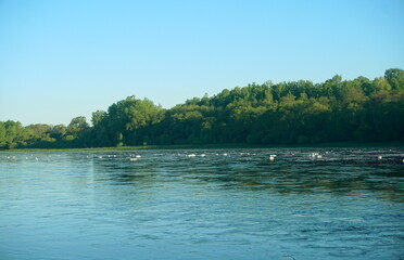 A large river with white foam on the surface, during summer. River Daugava, Latvia