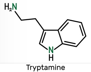 Tryptamine molecule. It is alkaloid, aminoalkylindole. Skeletal chemical formula