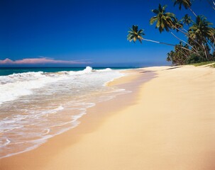 sri lanka, sea, palm beach, 