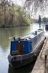 Fototapeta premium A narrowboat moored along the Thames River in Maidenhead in the UK