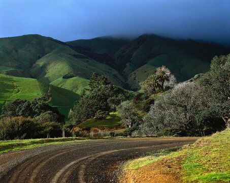new zealand, north island, coromandel, peninsula, fletcher bay, landscape, nature, hilly landscape, fog, road, gravel road, hills, mist, weather, vegetation, clouds, 