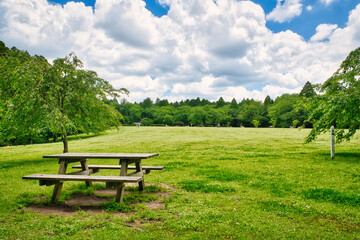 芝生広場にあるベンチ