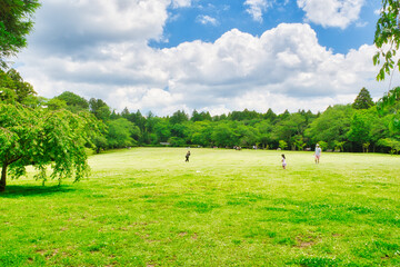 芝生広場