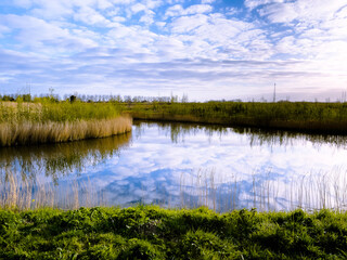 Fototapeta premium clouds reflected in water