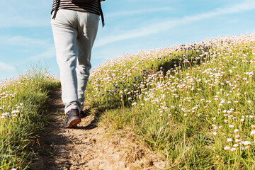 Legs of unrecognizable person wearing sports shoes walking through a flower field on a sunny spring...