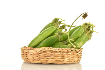 Several organic green pea pods in a straw plate, close-up, isolated on white.