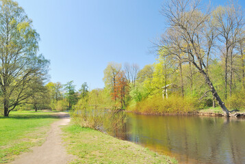 Beautiful park in spring