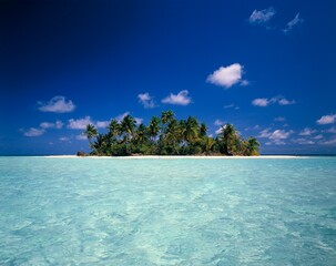 Fototapeta premium maldives, palm island, island, sea, holiday, sky, blue, clouds, palm trees, dream island, holiday island, water, clear, turquoise, holiday motif, dream holiday, indian ocean, maldives island, 