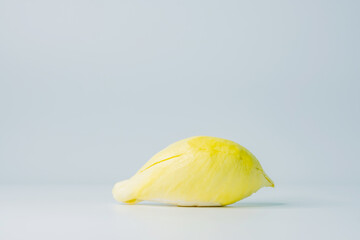 Durian mon thong is king of fruits durian on white background. Pulp of fresh Durian yellow color on...