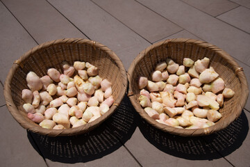 紅ショウガを漬ける前のショウガを干す作業