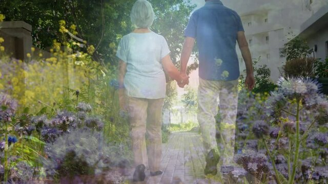 Animation of meadow over senior couple walking and holding hands