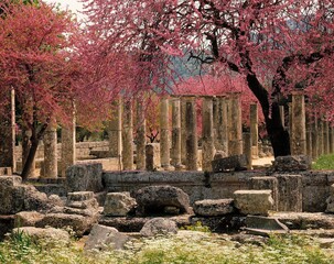greece, olympia, palaestra, 3 c., trees, blossom, non-exclusive, ancient olympia, ruin, temple...