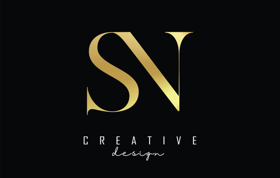 Golden SN s n letter design logo logotype concept with serif font and elegant style. Vector illustration icon with letters S and N.