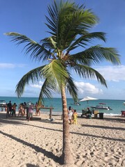 Obraz premium Antunes Beach