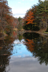 Fototapeta na wymiar Fall colors reflecting in Ontario creek