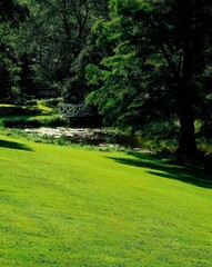 park, pond, trees, author's note, obligatory, bridge, green space, garden, plants, nature, water, recreation, silence, tranquillity, vegetation, 