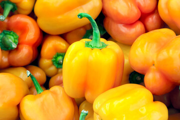 Yellow-orange bell peppers. Close-up background image. Illustration for the harvest season, themed vegetables, food, vegetable markets.