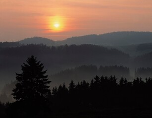 germany, bavaria, franconian forest, haze, sunrise, europe, forest, trees, vegetation, sun, rising, morning, morning mood, mood, 