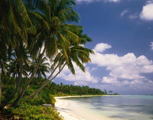 Fototapeta na wymiar maldives, palm beach, 