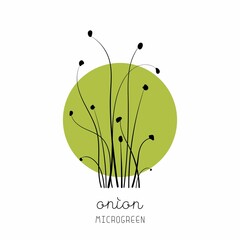 Onion plant on circle background Microgreen sketch vector illustration. Green for home gardening.