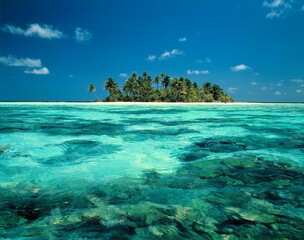 maldives, palm island, 
