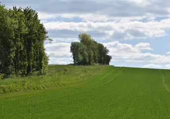 Hunsrücker Landschaft