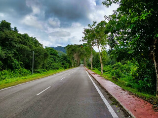Fototapeta na wymiar Road in the tropics. Tropical vegetation. Sarawak, Malaysia. Borneo Island. South-East Asia 