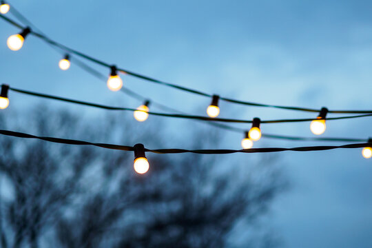 white string lights on tree in front of blue sky