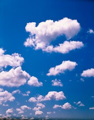 cloudy sky, cluster clouds, sky, clouds, cloudy mood, white, blue, cloudy, nature show, meteorology, fair weather clouds, 